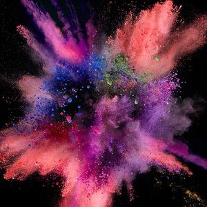 Meet your Posher, Delaney